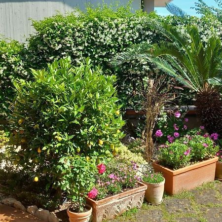 B&B Villa Noemi Формия Экстерьер фото
